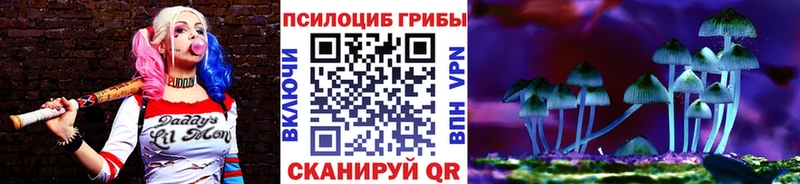 Галлюциногенные грибы прущие грибы  ОМГ ОМГ ссылка  Кушва 